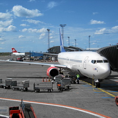 LN-RRW B737-883 SAS CPH (2019 Besuche) LN-RRW B737-883 SAS CPH