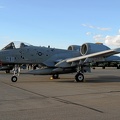 81-0962_a-10a_81st_fs_usafe_20140106_1287148783.jpg