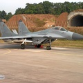 2917_mig-29g_pic9a_20130513_1911241691.jpg