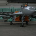 4104_mig-29g_41elt_ex2917ex_745_20130224_1763566749.jpg