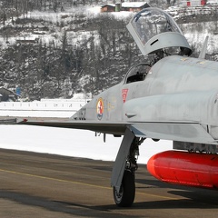 J-3062 F-5E Tiger Pic2