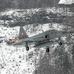 J-3074 F-5E Tiger Pic1