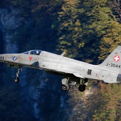 J-3044 F-5E Meiringen Schweizer Luftwaffe