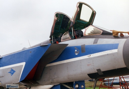 MiG-31 Bug