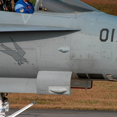 J-5017 F-18C Fliegerstaffel 17