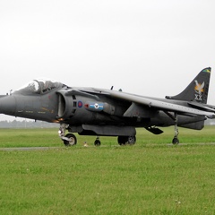 ZD407 36 Harrier GR7 20Rsqn RAF Pic1