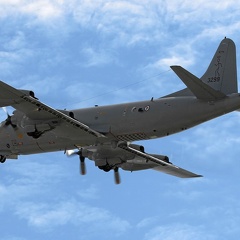 3299 P-3C Ulabrand RNoAF