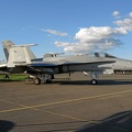 hn-441_f-18c_hornet_haevllv_21_20140106_1893474968.jpg