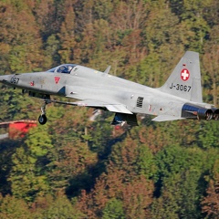 J-3067 F-5E Meiringen Schweizer Luftwaffe