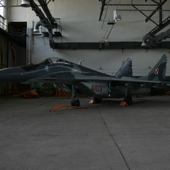 4103 MiG-29G 41elt ex 29+16 ex 699