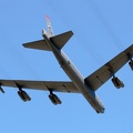 riat2006_renekurzenberg_img_4904_20120917_1212719754.jpg