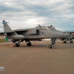 XX737 EE Jaguar GR3A 12sqn RAF
