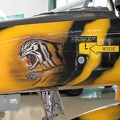 208_f-5a_tiger_detail_20090906_1609381523.jpg