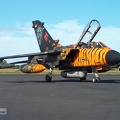 43+96 Tornado IDS RECCE Tiger 2003 Pic9d