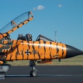 43+96 Tornado IDS RECCE Tiger 2003 Pic7