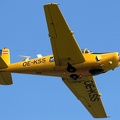 oe-kss_saab_91d_safir_20131014_1897647382.jpg