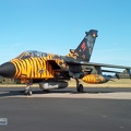 43+96 Tornado IDS RECCE Tiger 2003 Pic1