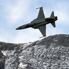 F-5E Axalp