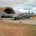 zd409_38_harrier_gr7_4sqn_raf_20170822_1514161324.jpg