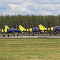 baltic_bees_20130916_2078309838.jpg