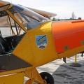 D-EFBR Piper Pa-18-95 Super Cub L-18C ex 96+33 Pic2