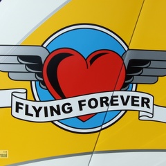Flying Forever Leitwerk Aquila 210