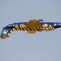 ZU-CYI L-29 Delfin Sasol Tigers