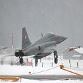 j-3074_f-5e_tiger_pic2_27_20090502_2018496427.jpg