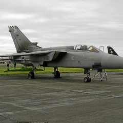 ZE161 GB Tornado F3 43sqn RAF