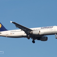 D-AIPF, Airbus A320-211, Lufthansa