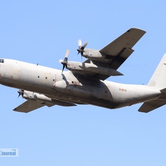 31-01, C-130H, Spanish Air Force
