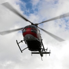 D-HTDM Bo105 The Flying Bulls (59 visits) D-HTDM Bo105 The Flying Bulls