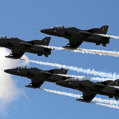 Midnight Hawks (68 visits) Midnight Hawks